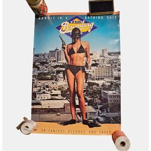 David Bromberg Band Bandit in a Bathing Suit 23x32 Album Promo Poster VTG 1978